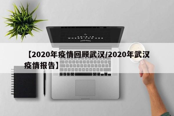 【2020年疫情回顾武汉/2020年武汉疫情报告】