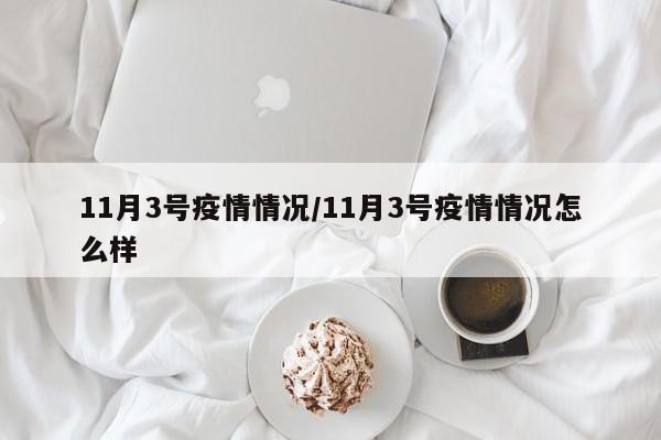 11月3号疫情情况/11月3号疫情情况怎么样