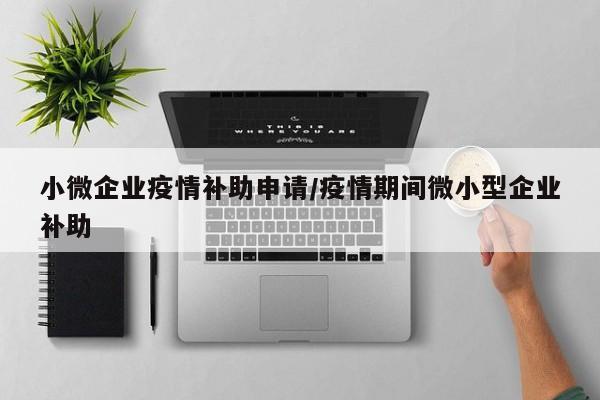 小微企业疫情补助申请/疫情期间微小型企业补助