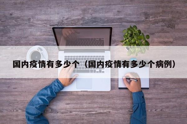国内疫情有多少个（国内疫情有多少个病例）