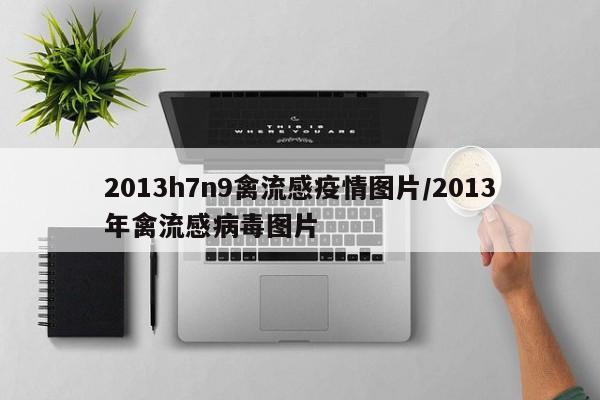2013h7n9禽流感疫情图片/2013年禽流感病毒图片