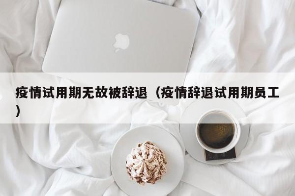 疫情试用期无故被辞退（疫情辞退试用期员工）